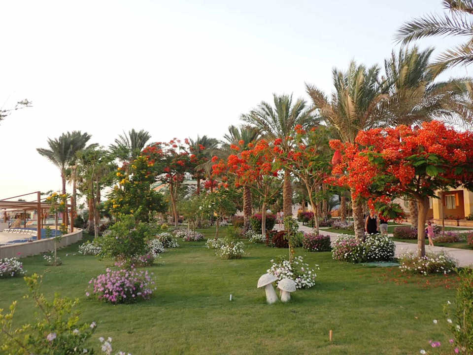 Gartenanlage Malikia Resort Abu Dabbab