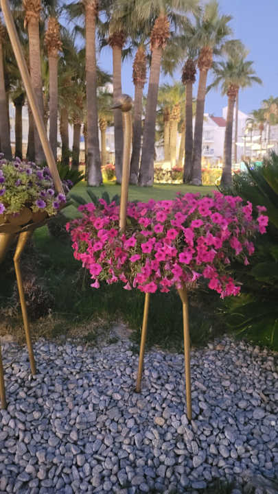 Ausblick Monachus Family Resort Sorgun