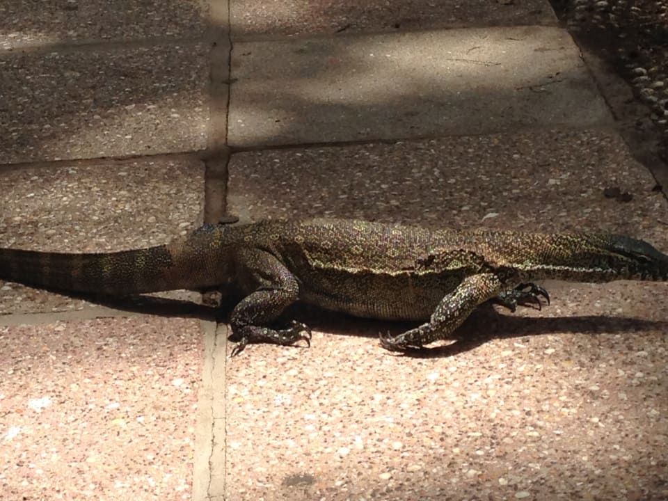 Gartenanlage Hotel Senegambia Beach