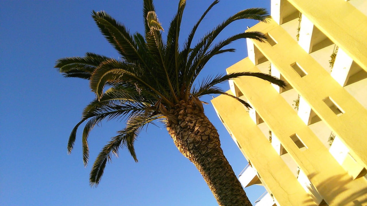 Dessole Dessole Dolphin Bay Resort