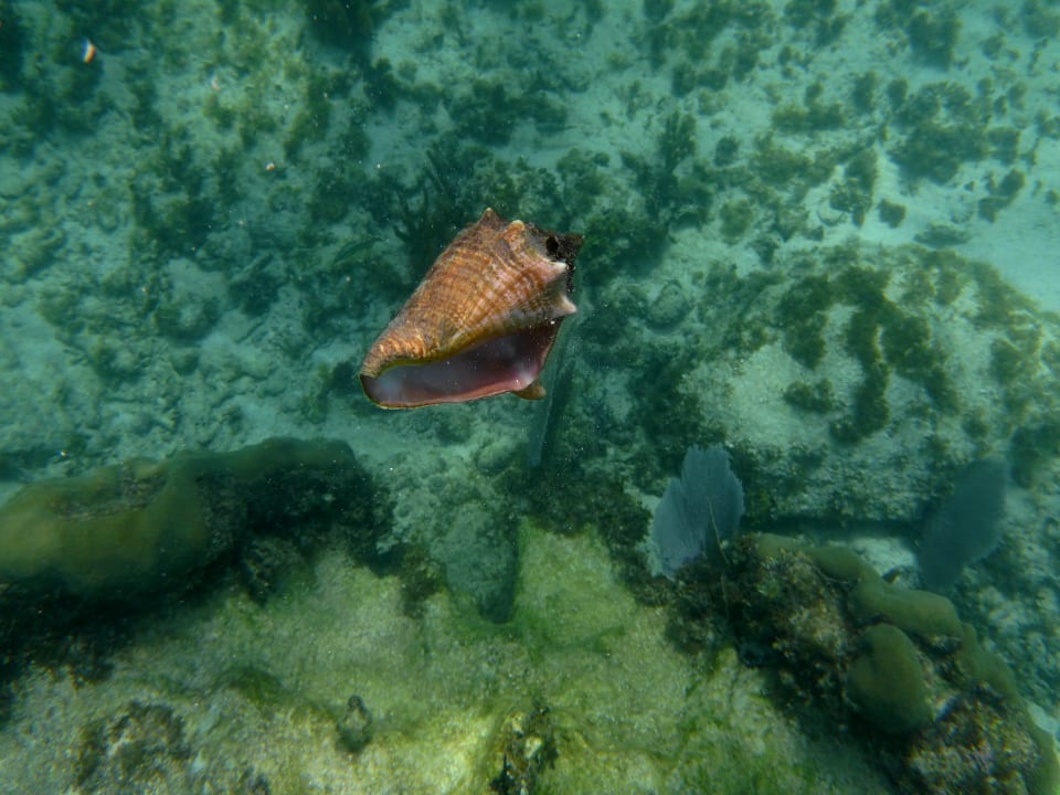 Sport & Freizeit Akumal Bay Beach & Wellness Resort