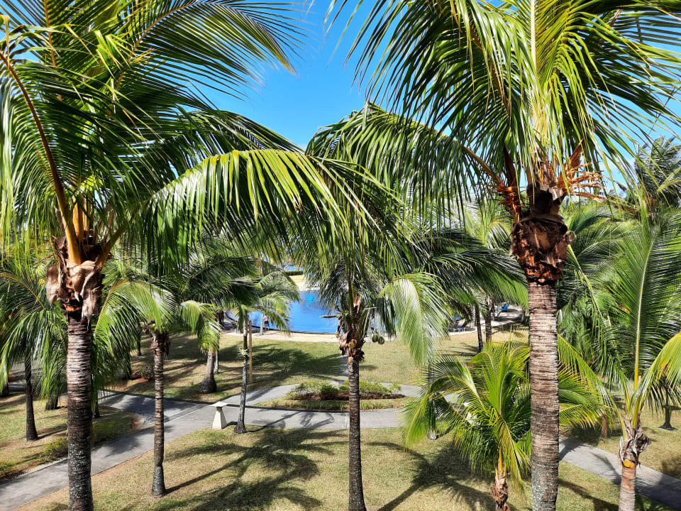 Zimmer Tamassa Bel Ombre