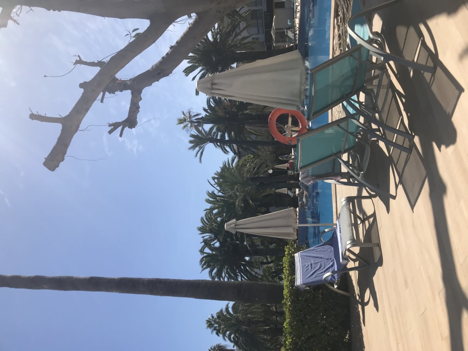 Pool Alcudia Garden Aparthotel