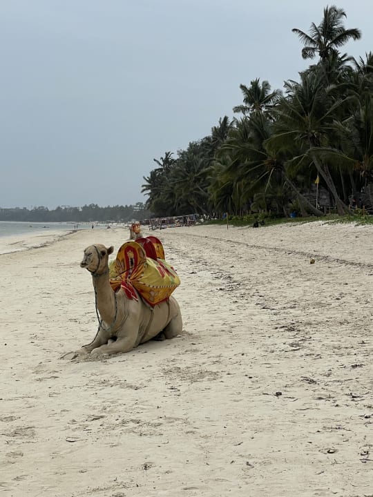 Strand Travellers Beach Hotel & Club