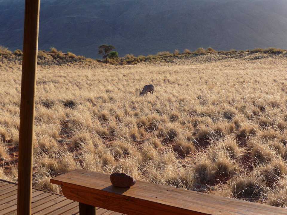 Blick vom Chalet auf einen grasenden Oryx Wolwedans Dunes Lodge