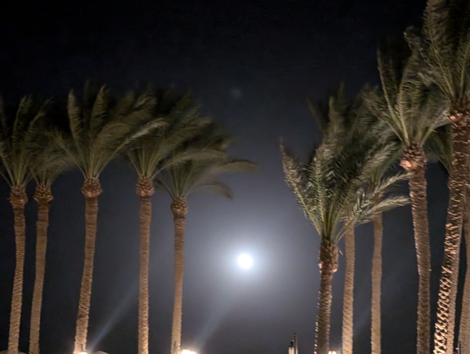 Außenansicht Grand Makadi