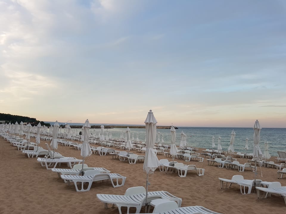 Strand Sentido Marea