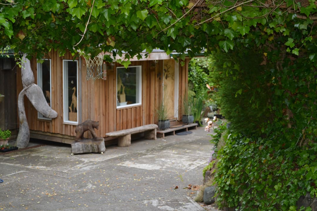 Künstler-Haus Dolphin House Bed & Breakfast