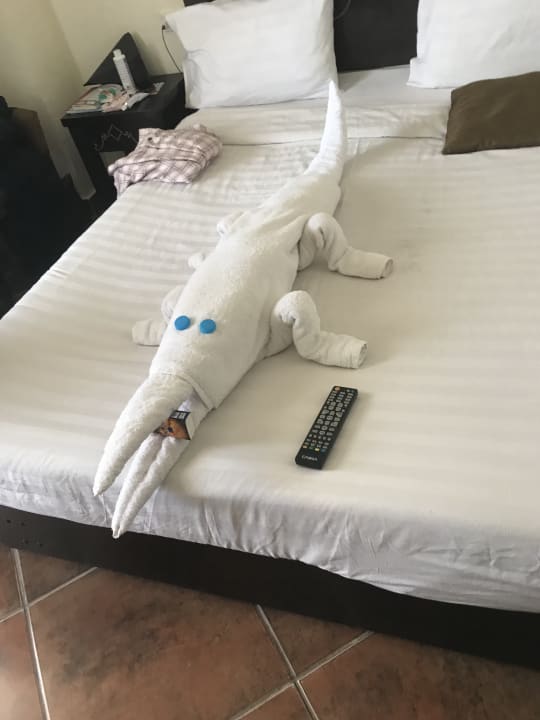 Zimmer Three Corners Sea Beach Resort