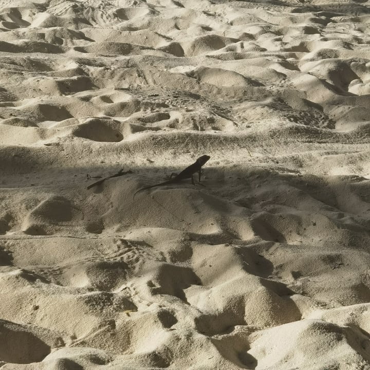 Strand Kuramathi Maldives