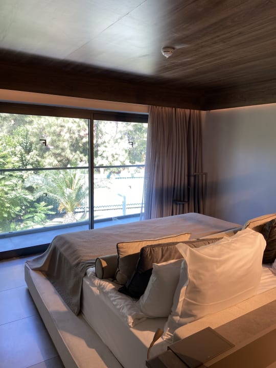 Zimmer Paloma Finesse