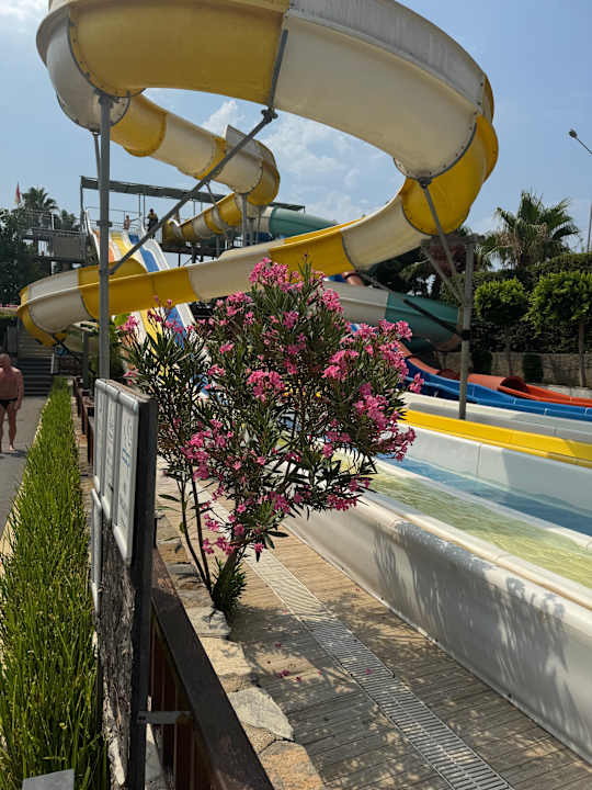 Pool Arnor de Luxe Hotel & Spa