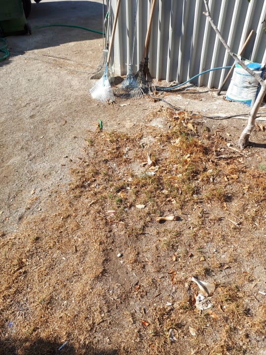 Sonstiges Hotel Golden Odyssey