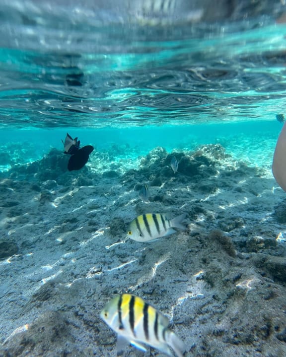 Strand Lazuli Hotel Marsa Alam