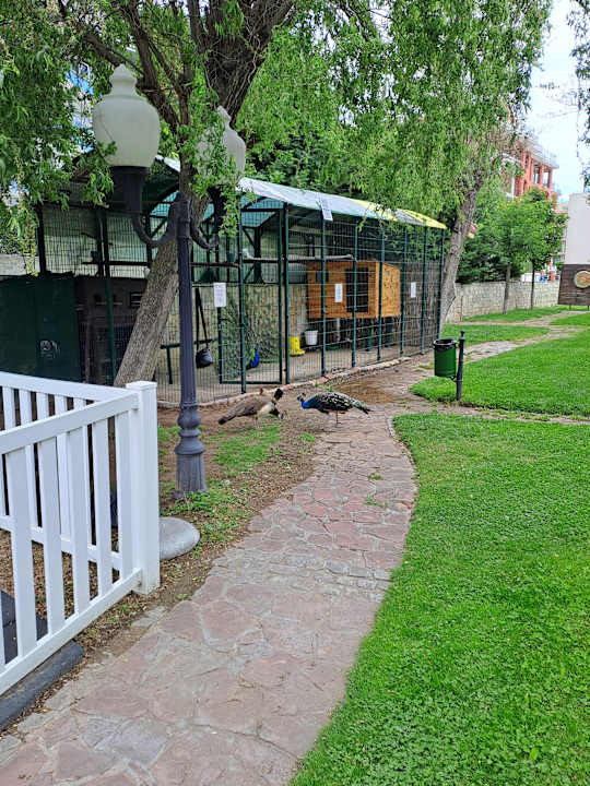 Sonstiges Helena Park