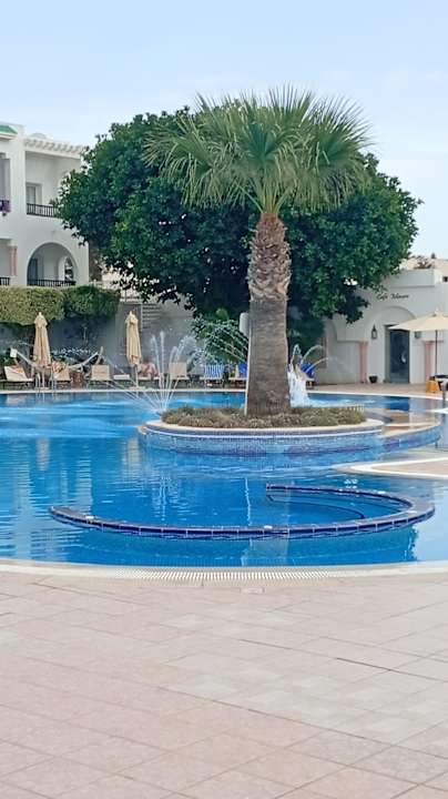 Pool Hotel Royal Nozha