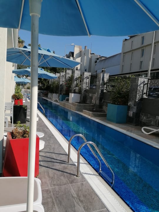 Pool Seaden Valentine Resort & Spa