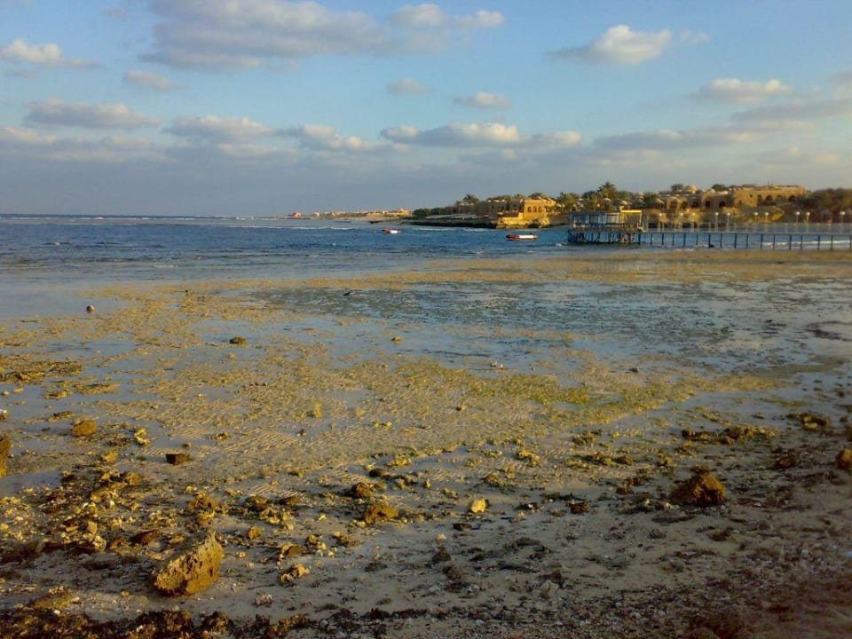 Blick auf das Hotel über das Riff Mövenpick Resort El Quseir