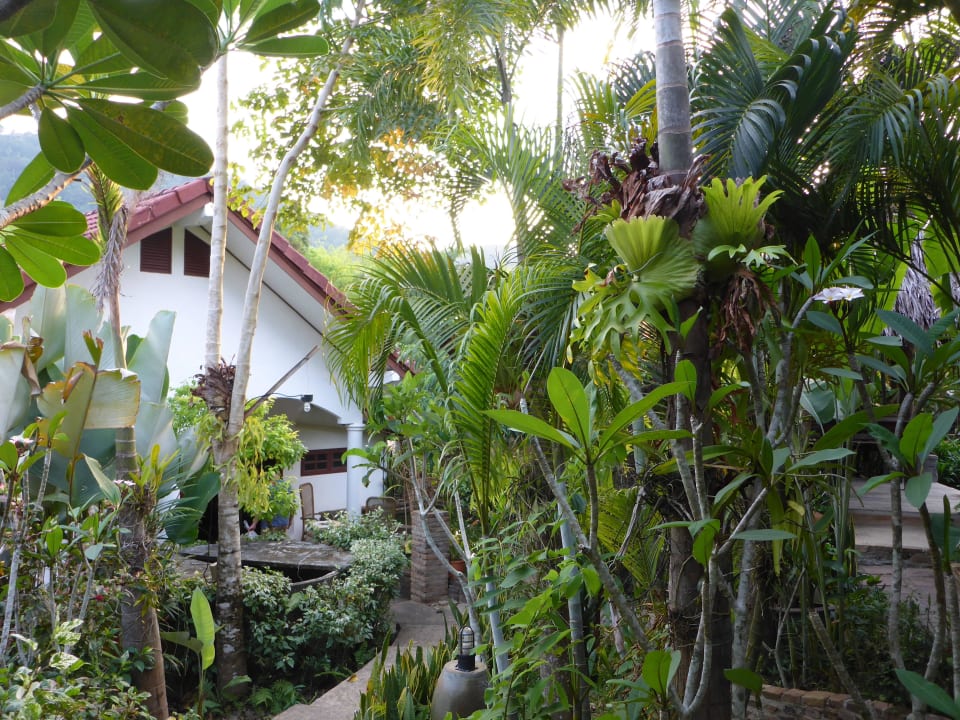 Blick auf den Bungalow Frog and Catfish Country Inn