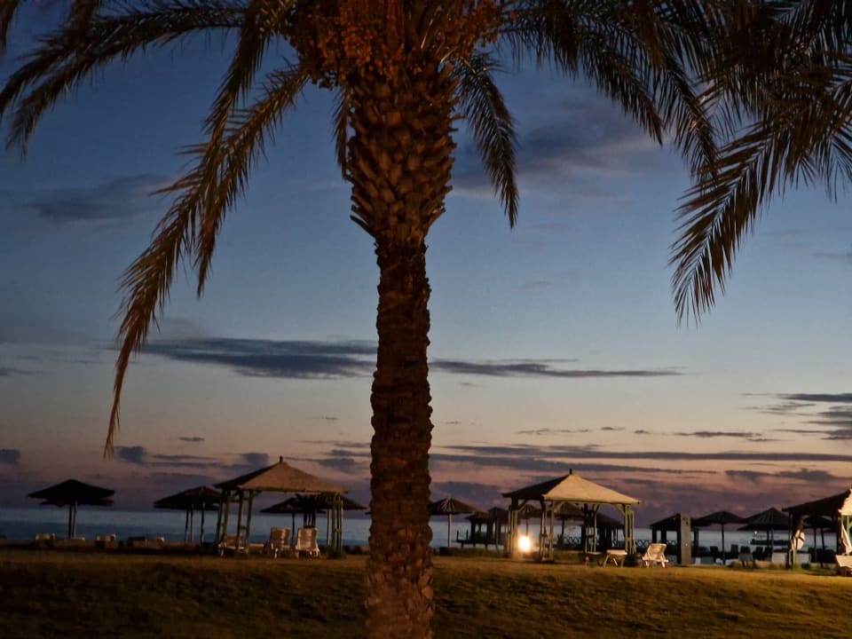 Strand Selectum Family Comfort Side