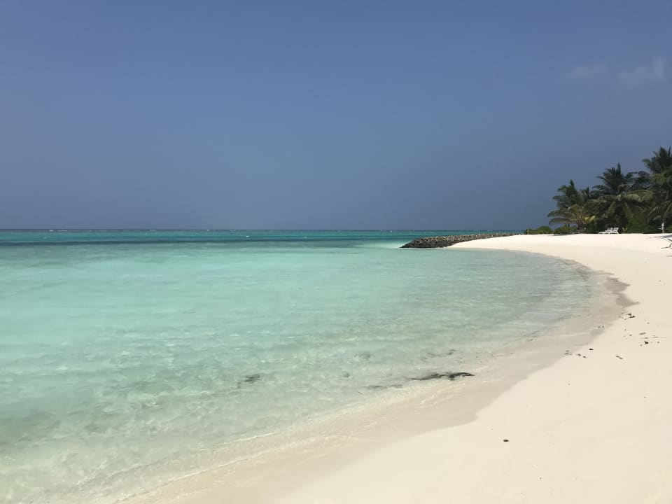 Strand Summer Island Maldives