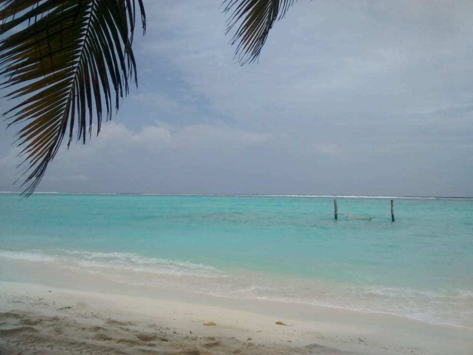 Blick von der Bar auf´s Meer Summer Island Maldives