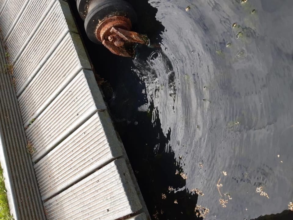 Gartenanlage Hotel Zur Wildbahn