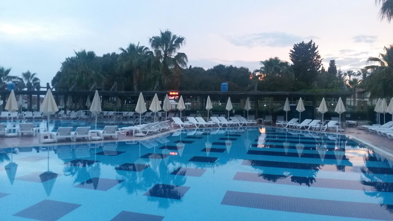 Pool Trendy Palm Beach (Adults Only, 16+)