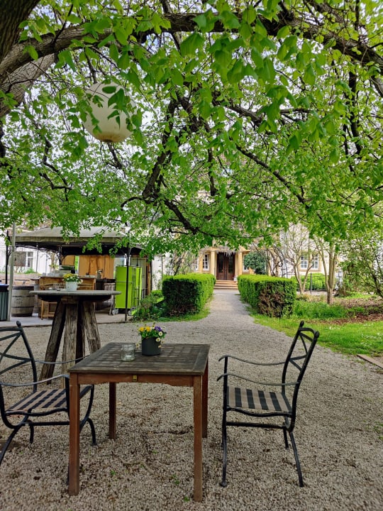 Gastro BollAnts Spa im Park