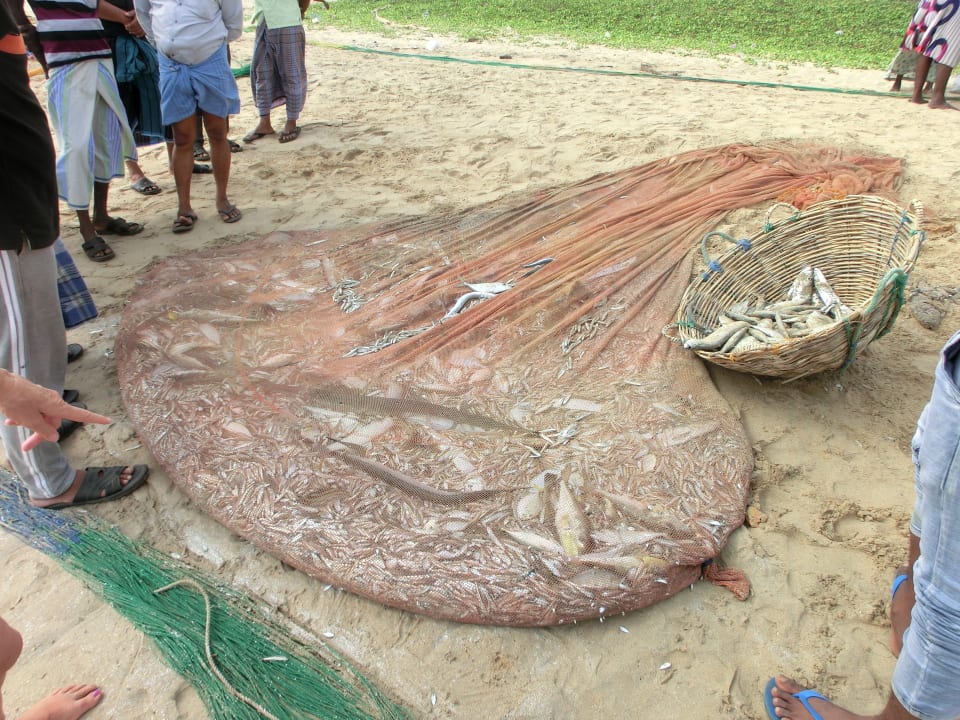 Strand Hotel Pigeon Island Beach Resort