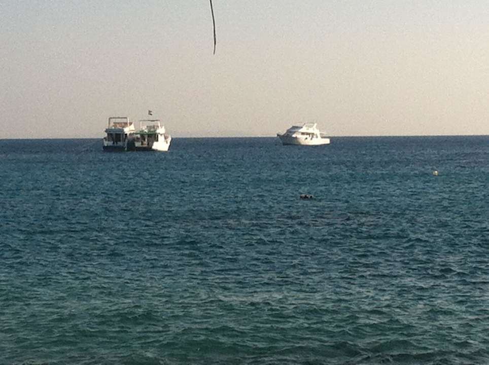 Meerblick vom Strand aus Beach Albatros Resort