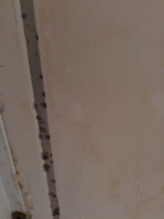 Schimmel im Bad EG - Fliesen Dusche Ferienhaus Strandhaus XXL Baabe