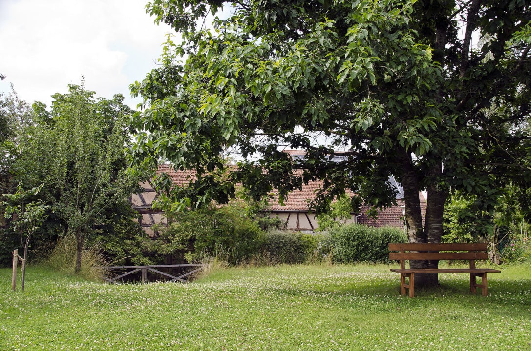 Wiese Landhaus Lebert