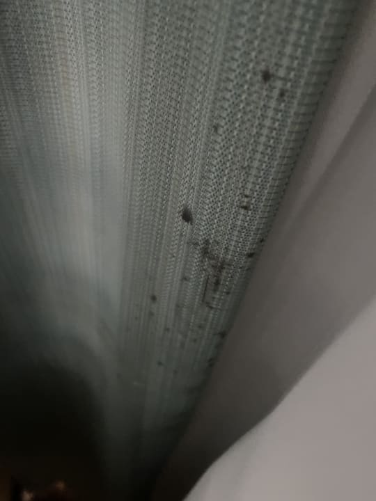 Zimmer Hotel DoubleTree by Hilton Orlando Downtown