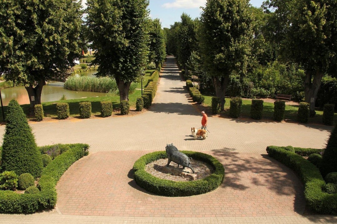 Ausblick vom Gutshaus in die Allee Gutshof Sparow (Im Umbau/Renovierung)