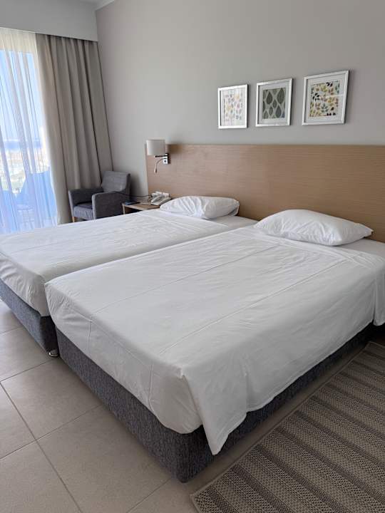 Zimmer JAZ Elite Asteria