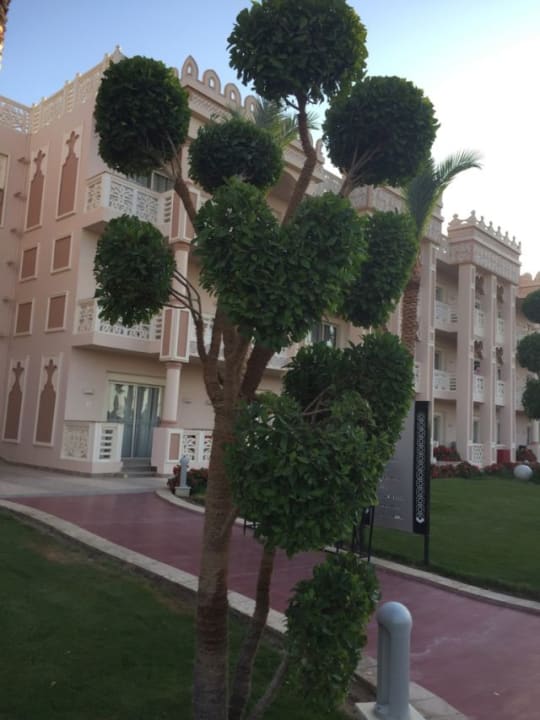 Gartenanlage Pickalbatros Palace Resort