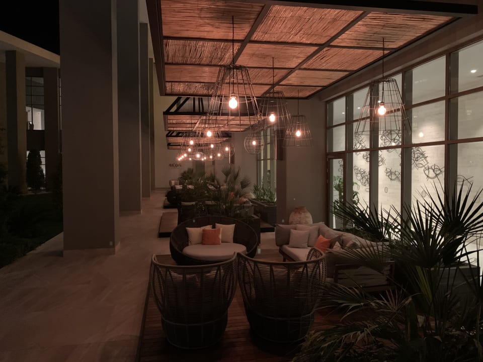 Gastro Acanthus Cennet Barut Collection