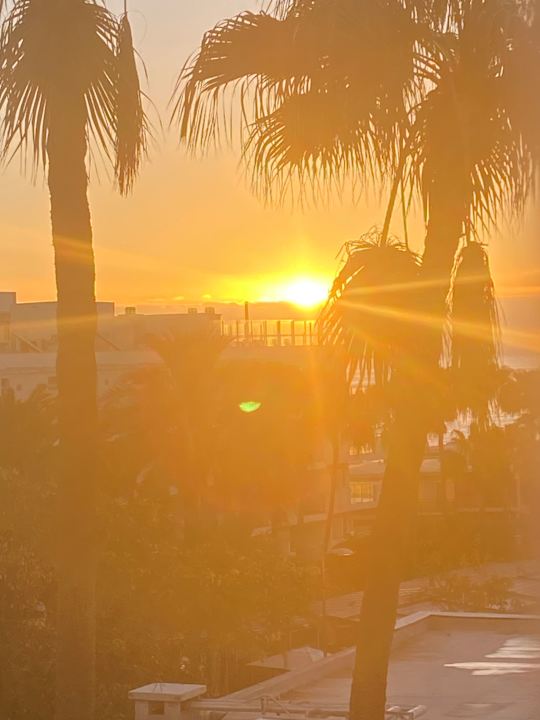 Außenansicht Hotel Riu Palace Palmeras