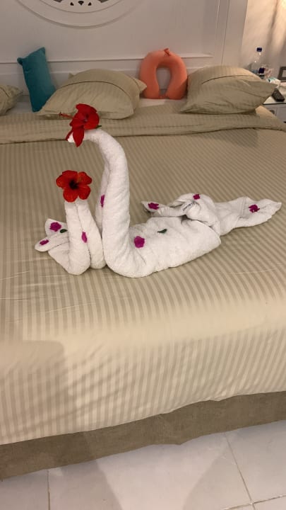 Zimmer The Grand Palace - Adults only