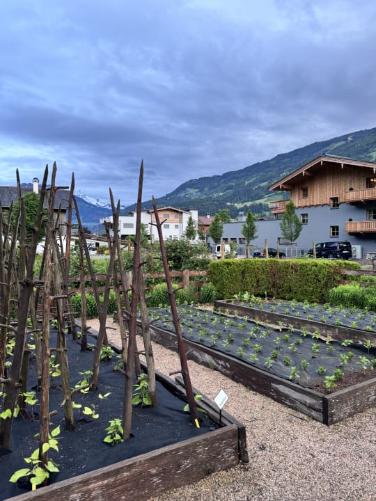 Gartenanlage Landgasthof Linde