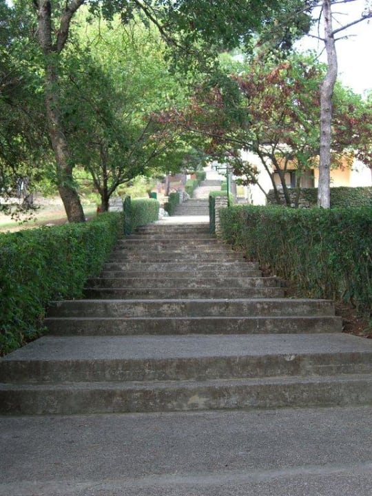 Eine der vielen Stufen Apartments Bellevue Plava Laguna