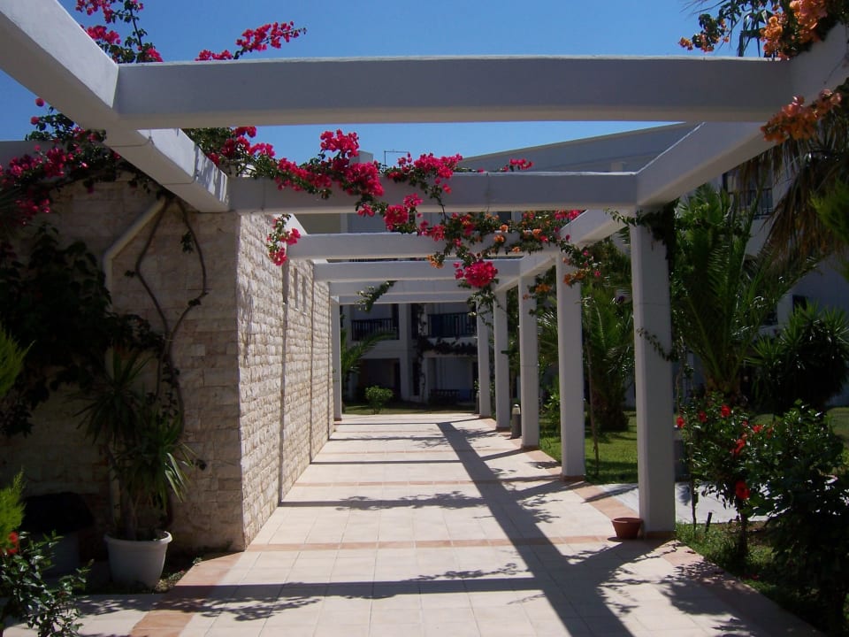 Schön  Hotel Tigaki Beach