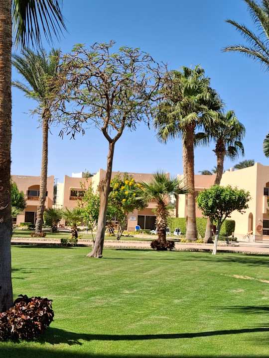 Gartenanlage Continental Hotel Hurghada