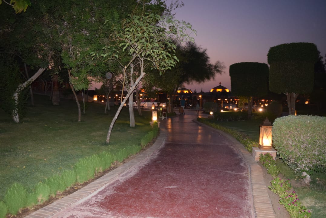 Gartenanlage Pickalbatros Jungle Aqua Park Resort - Neverland Hurghada