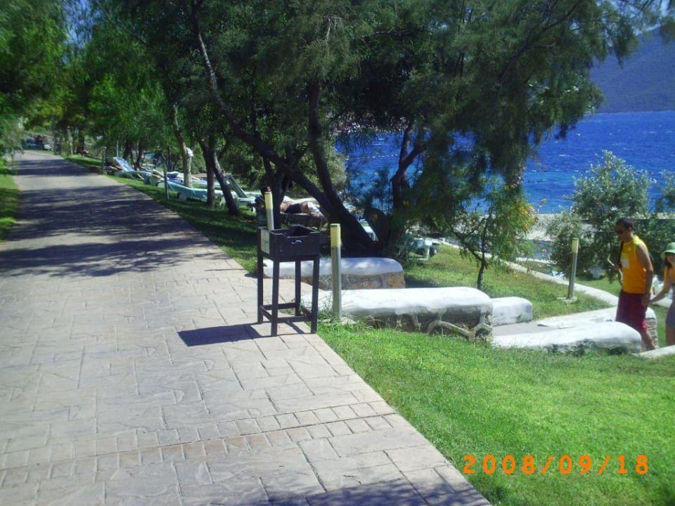 Liegewiese und Weg zum Strand Bodrum Holiday Resort & Spa