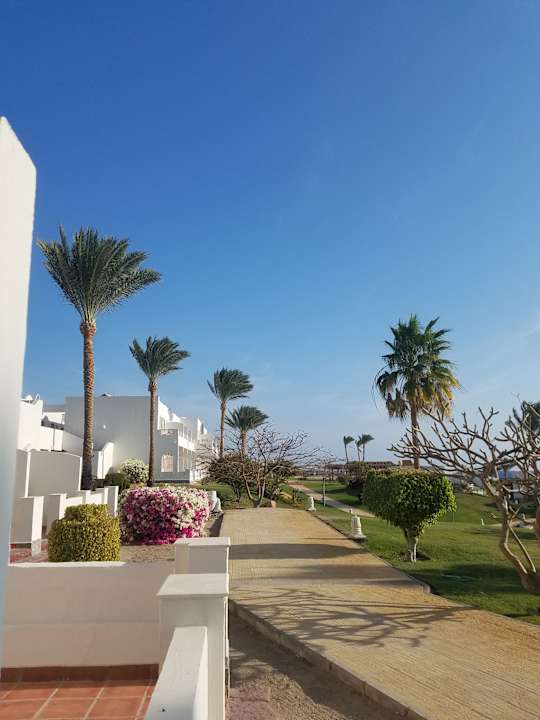 Zimmer JAZ Neo Reef Marsa