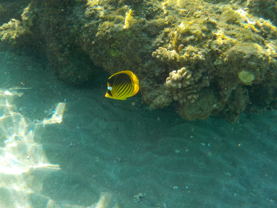 Sport & Freizeit Premier Le Reve Hotel & Spa