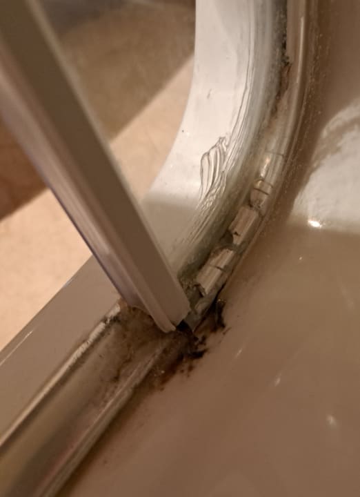 Zimmer Papillon Ayscha