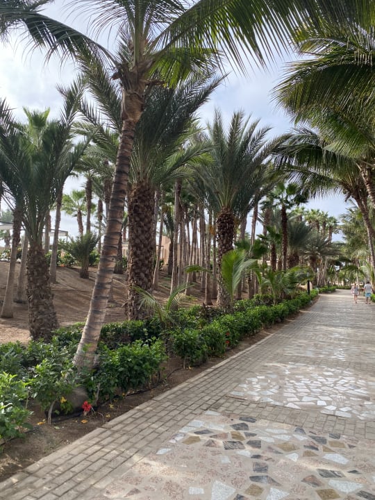 Außenansicht Hotel Riu Cabo Verde
